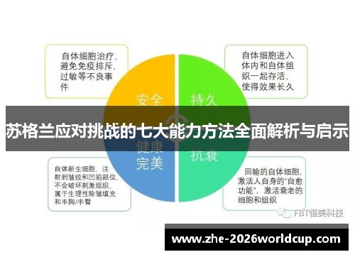 苏格兰应对挑战的七大能力方法全面解析与启示