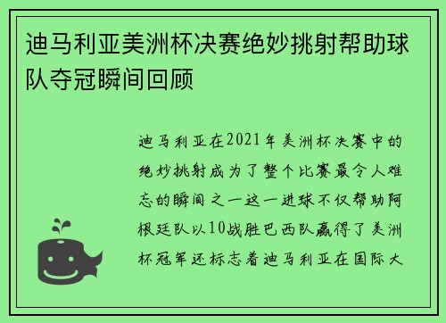 迪马利亚美洲杯决赛绝妙挑射帮助球队夺冠瞬间回顾